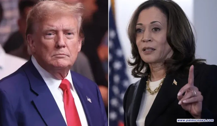 مليارات ترامب وملايين هاريس.. من أين جاءت ثرواتهما؟